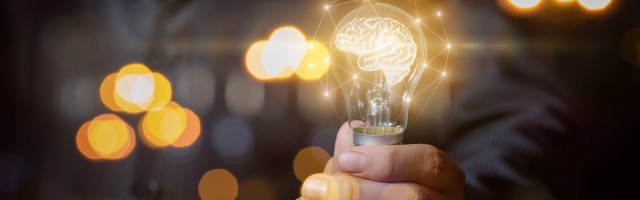Light bulb with brain the hands of the businessman. stock photo
