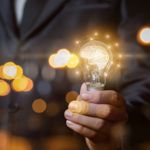 Light bulb with brain the hands of the businessman. stock photo